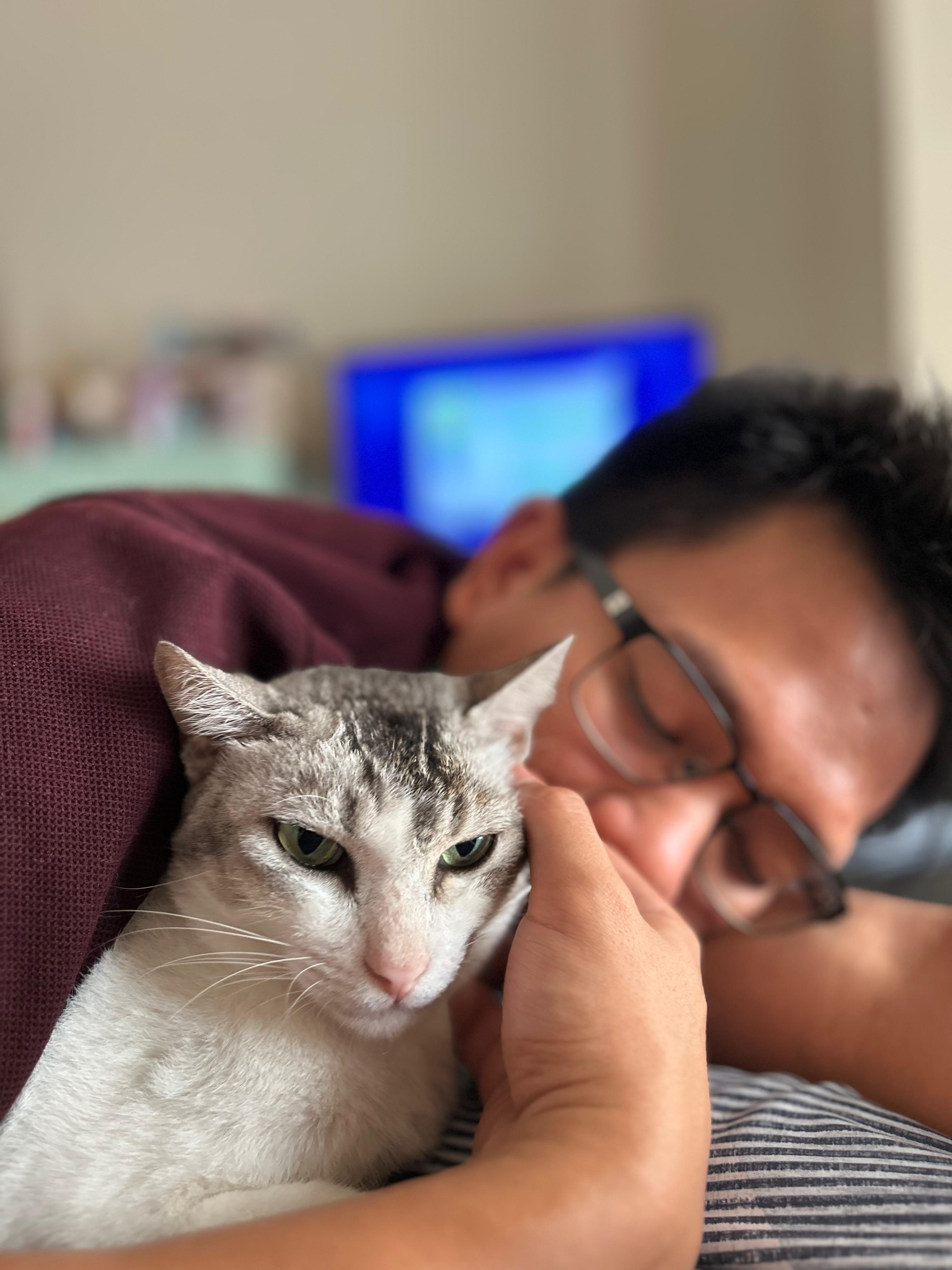 Cat Dad